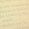 Psalm 23 “Our Shepherd in the Wilderness”